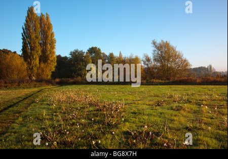 Il fiume Tamigi a serratura Shiplake Oxfordshire England Regno Unito Foto Stock