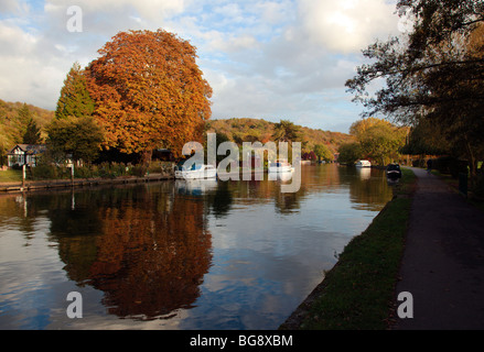 Il fiume Tamigi in autunno colori Oxfordshire England Regno Unito Foto Stock