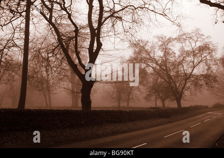 Mattinata nebbiosa in Swithland, Leicestershire, Regno Unito Foto Stock