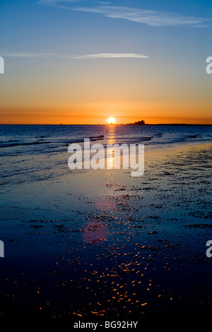 Twinkles luce su una spiaggia durante il tramonto o l'alba su un oceano. Foto Stock