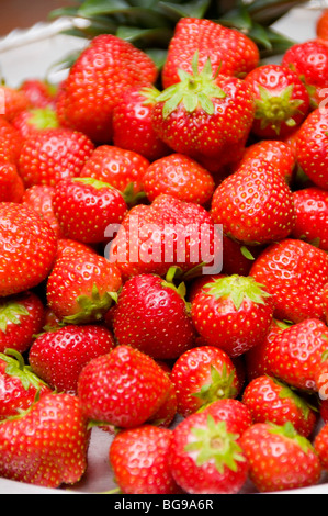 fragole Foto Stock