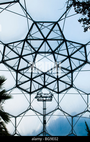 La sezione interna del tetto a cupola del Mediterraneo biome all'Eden Project in Cornovaglia Foto Stock