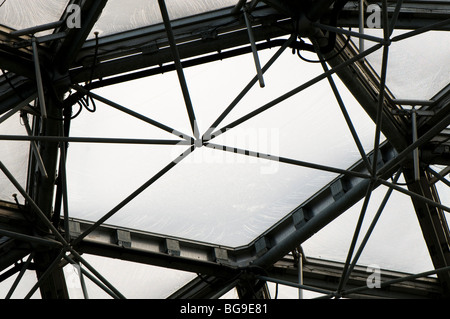 La sezione interna del tetto a cupola del Mediterraneo biome all'Eden Project in Cornovaglia Foto Stock