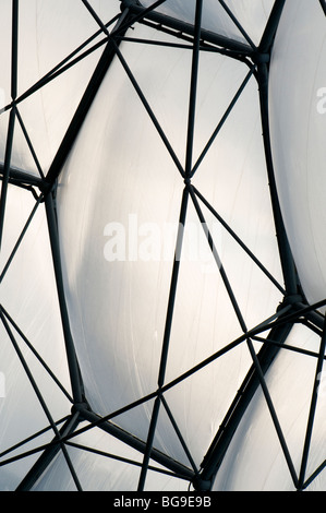 La sezione interna del tetto a cupola del Mediterraneo biome all'Eden Project in Cornovaglia Foto Stock