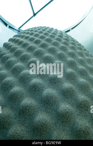 Peter Randall-Page's "sementi", scultura di granito dentro il nucleo istruzione edificio all'Eden Project in Cornovaglia Foto Stock