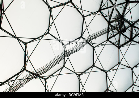 La sezione interna del tetto a cupola della foresta pluviale biome all'Eden Project in Cornovaglia Foto Stock