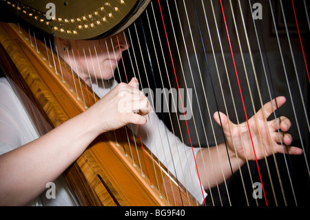 Una femmina di arpa player Foto Stock