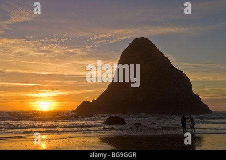 Stack di mare e tramonto a Whaleshead Beach, Samuel H. Boardman membro Scenic corridoio, southern Oregon Coast. Foto Stock