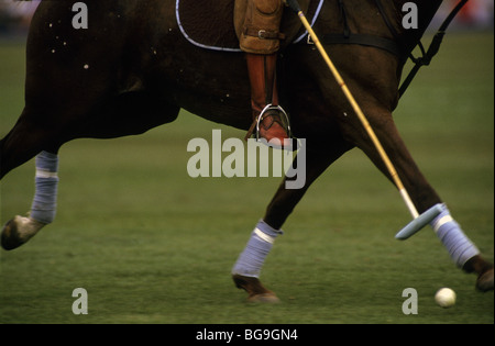 Giocatore di polo sul suo cavallo Foto Stock