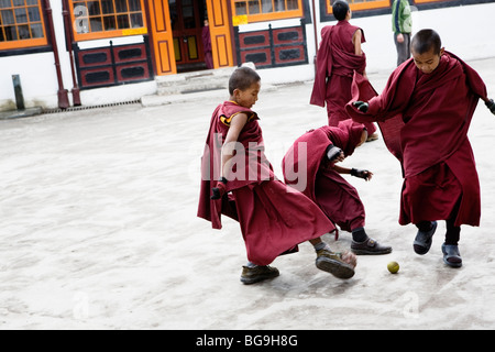 I giovani monaci novizio a giocare a calcio al monastero di Ghoom vicino a Darjeeling, India Foto Stock