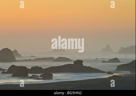 Tramonto a Harris Beach State Park, Oregon Coast. Foto Stock