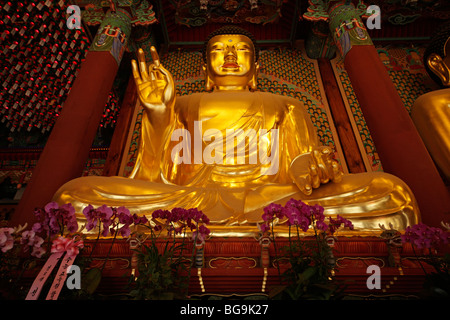 Budda dorati all'interno del tempio buddista di Tempio Jogyesa nel sud Coree capitale Seoul, Asia Foto Stock