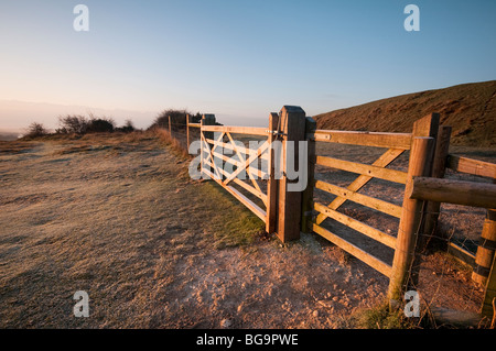 Cancello su Cissbury Ring, South Downs Foto Stock