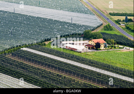 Agricoltura intensiva nel delta del po, vicino a Saluzzo, Torino, Italia. Frutteti di pesche crescono sotto plastica protettiva Foto Stock
