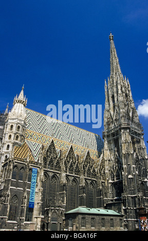 La cattedrale di Santo Stefano a Vienna Foto Stock