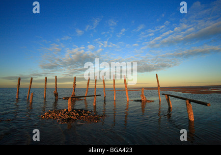 La cozza letti a Old Hunstanton in serata con la bassa marea. Foto Stock