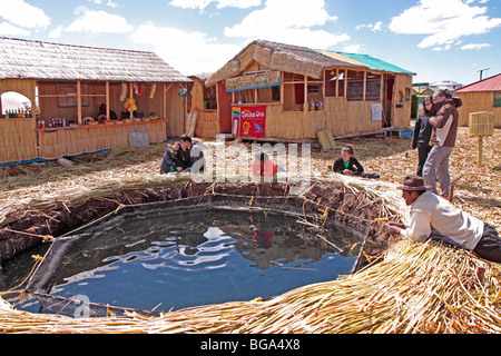 Stagno di pesci, Uro isole, il lago Titicaca, Puno, Perù, Ande, Sud America Foto Stock