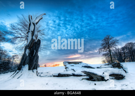 Tramonto, coperta di neve scena del vecchio albero caduto tronco presi da Cotswold modo vicino a Old Sodbury in inverno Foto Stock