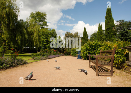 Parco Singleton Giardini Botanici, Swansea, West Glamorgan, South Wales, Regno Unito Foto Stock