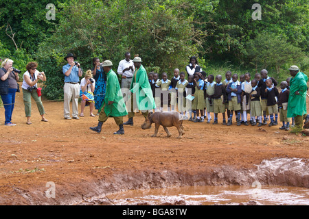 Custodi mostra di orfani rinoceronte nero vitello per scolari e turisti, Nairobi, Kenia Foto Stock