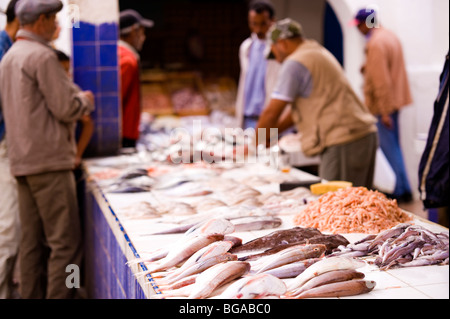 Il Fishmarket, Essaouira Costa atlantica del Marocco Foto Stock