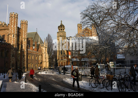 neve sulla terra Foto Stock