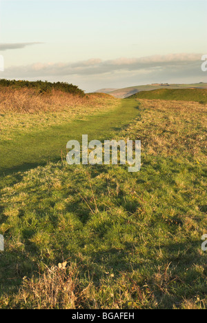 Una via principale / sentiero che corre attraverso le antiche età del ferro hill fort di Cissbury Ring nel South Downs National Park. Foto Stock