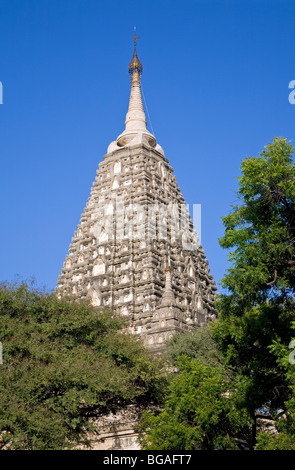 Tempio di Mahabodhi. Bagan. Myanmar. Foto Stock