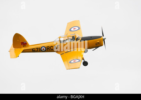 De Havilland DHC scoiattolino, due seat monioplane formazione dal 1946. Il primo aereo progettato da De Havilland Canada, utilizzato da Foto Stock