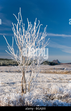 Frosty pomeriggio al Oykel, Sutherland, Scozia Foto Stock