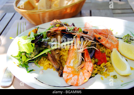 Piatto di frutti di mare, Provenza, Francia Foto Stock