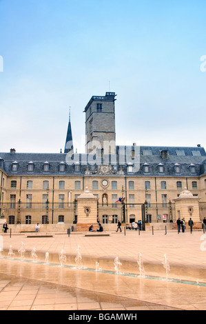 Fontane a La Place de la Libération, Palais des Ducs (Palazzo Ducale), Dijon, Francia Foto Stock