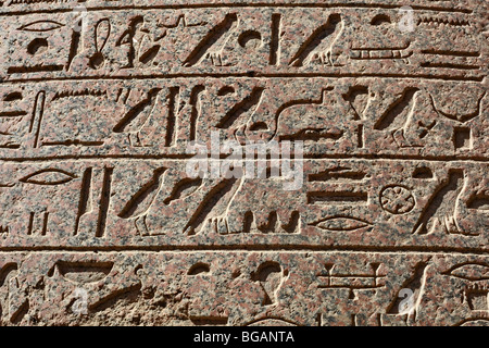 Hieroglyphen-Wand Karnak-Tempel im Foto Stock