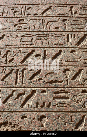 Hieroglyphen-Wand Karnak-Tempel im Foto Stock