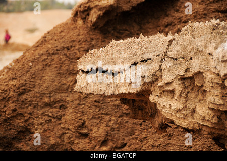 Israele e il Mar Morto fino in prossimità di una formazione di sale causata dall'evaporazione dell'acqua la formazione assomiglia a un coccodrillo Foto Stock