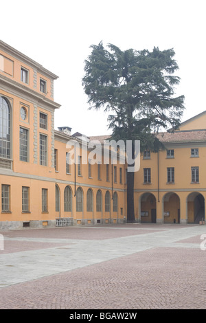 Cortile in Università di Pavia Italia Foto Stock