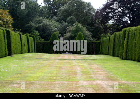 Siepe di bosso in Knot Garden nella motivazione di Antony House, Torpoint, Cornwall, Regno Unito Foto Stock