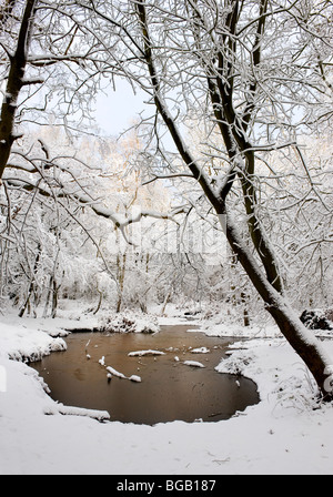 La nevicata in Essex woodland. Foto Stock