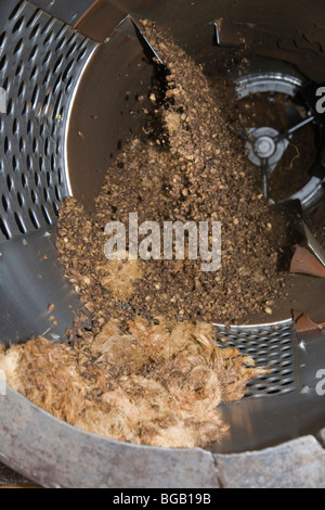 Un selezionatore rotante la separazione di palm kernel da vuoto di frutta mazzetto fibre. Il Palm Sindora Frantoio, Johor Bahru, Malaysia Foto Stock