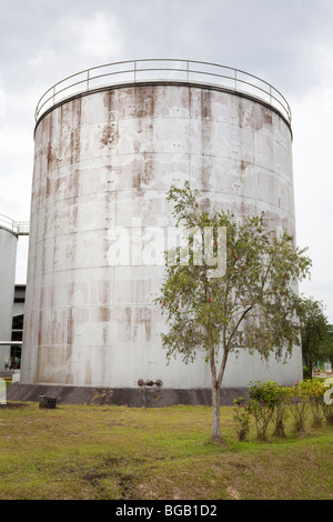 Contenitore di stoccaggio di olio di palma greggio. Il Palm Sindora Frantoio è certificato verde Foto Stock