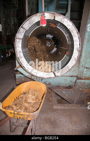 Un selezionatore rotante la separazione di palm kernel da vuoto di frutta mazzetto fibre. Il Palm Sindora Frantoio, Johor Bahru, Malaysia Foto Stock