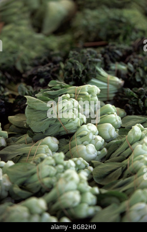 Mazzi di cavolo cinese nel mercato agricolo Foto Stock