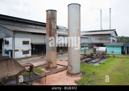 Apparecchiatura di elaborazione presso il Palm Sindora Frantoio, Malaysia Foto Stock