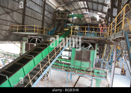 Interno del Palm Sindora Frantoio che è verde certificata dalla Tavola rotonda sulla sostenibilità di olio di palma (RSPO). Foto Stock