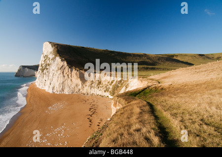 Chalk scogliere di Bat la testa vicino alla porta di Durdle Dorset Foto Stock
