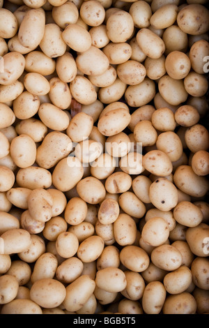 Patate di primizia al mercato Foto Stock