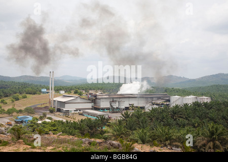 Il Palm Sindora Frantoio circondato dall'Sindora Palm Oil Plantation. Til mill e piantagione sono certificati verdi. Foto Stock