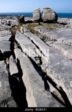 Irlanda, County Clare, Burren, grande masso calcareo suddiviso in due circondato da marciapiede e grykes. Foto Stock