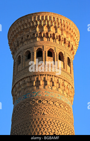 Minareto Kalyan (1127), Bukhara, Uzbekistan Foto Stock