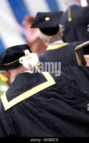 Royalty free Fotografia di cerimonia di laurea lecture laureati successo Foto Stock